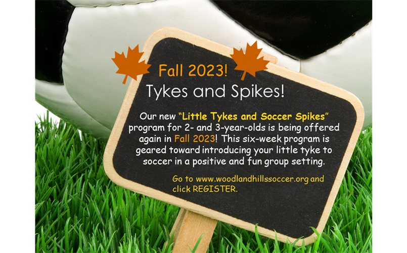 Little Tykes and Soccer Spikes